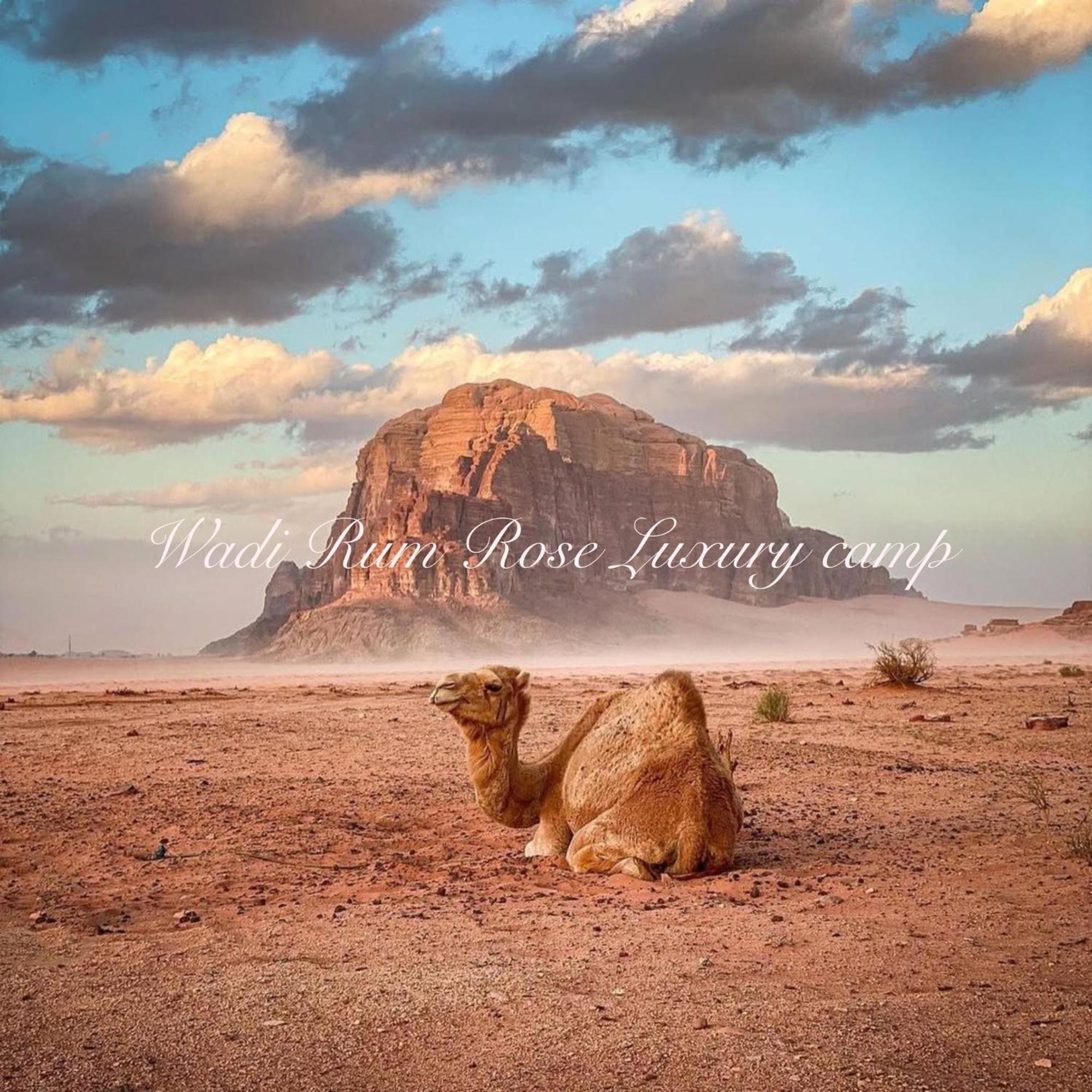 Wadi Rum Rose Luxury Camp Buitenkant foto