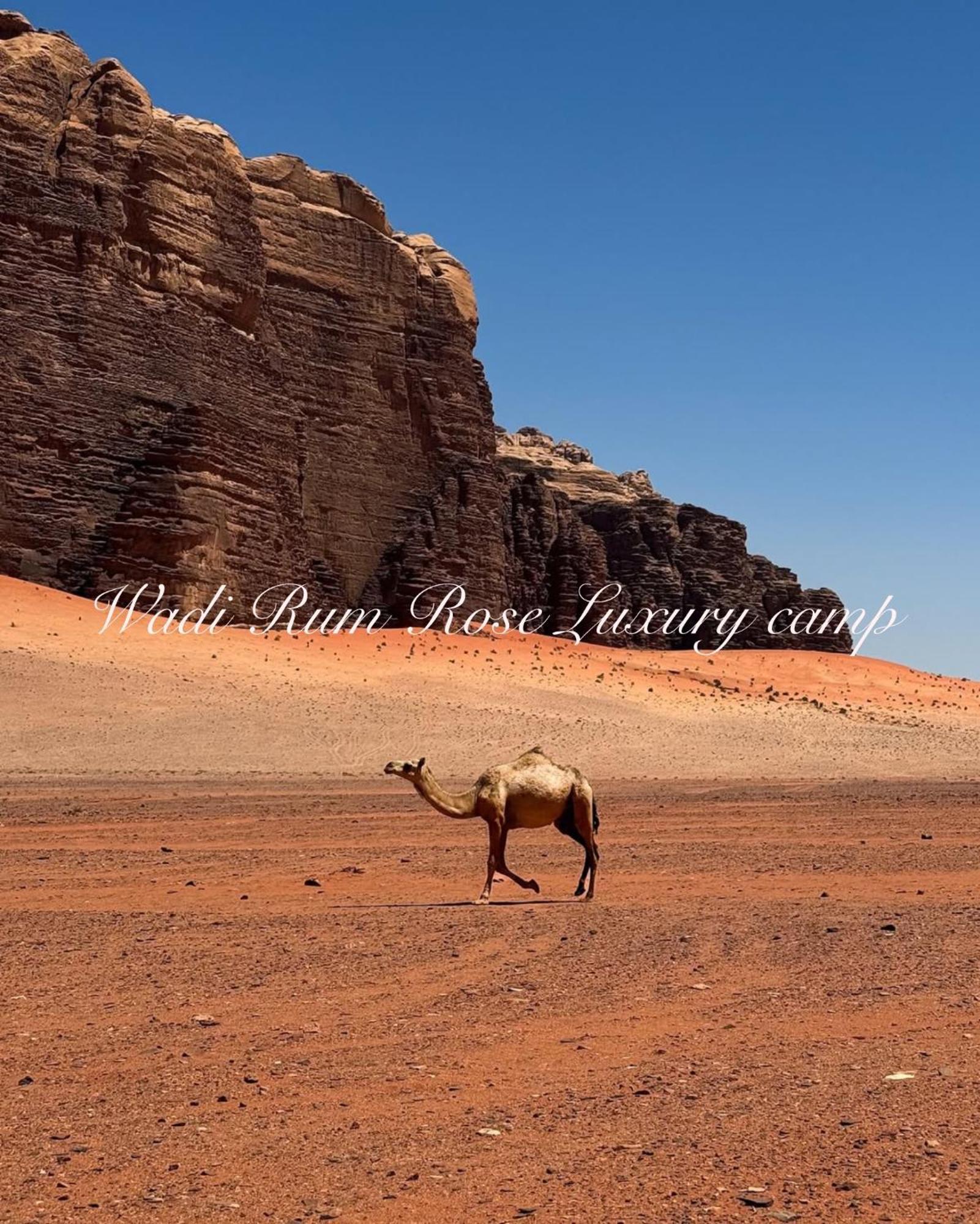 Wadi Rum Rose Luxury Camp Buitenkant foto