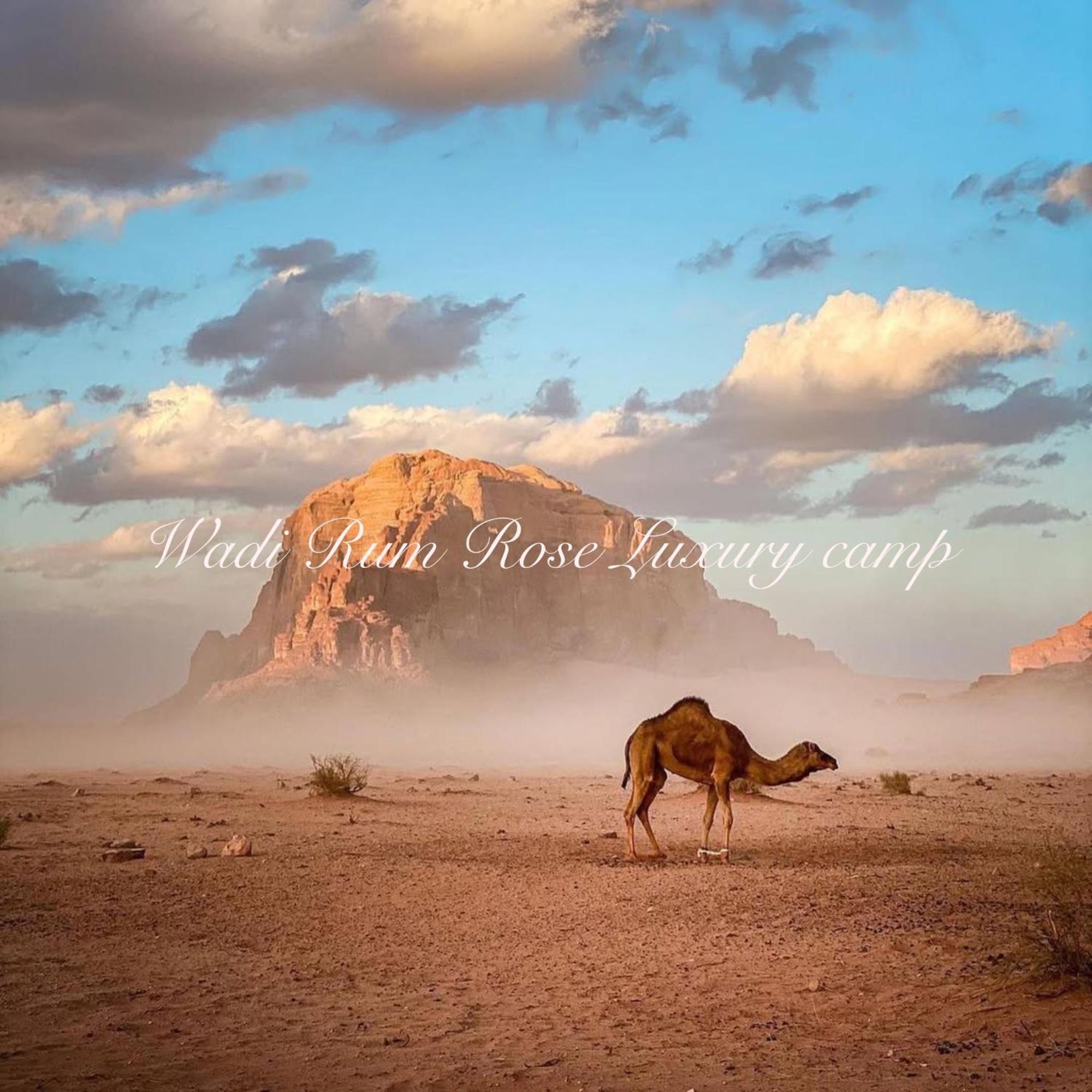 Wadi Rum Rose Luxury Camp Buitenkant foto
