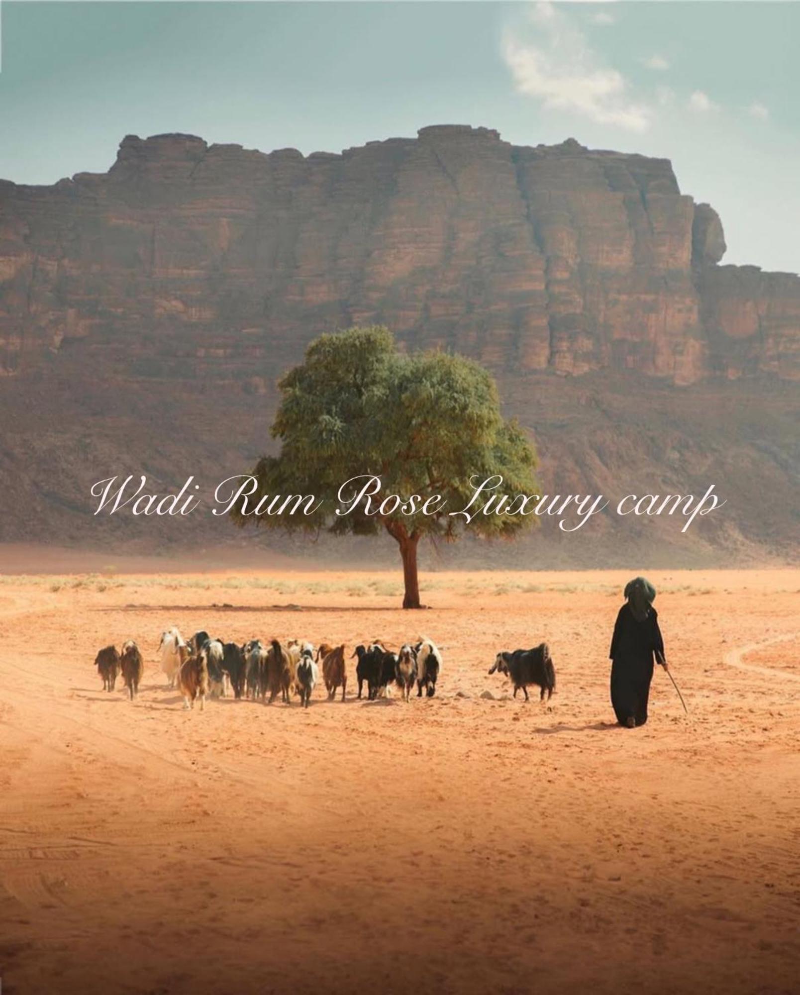 Wadi Rum Rose Luxury Camp Buitenkant foto
